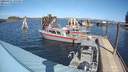 ./images/quadra/hbidock/20200321/hbidock20200321_135500M.jpg