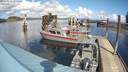 ./images/quadra/hbidock/20200324/hbidock20200324_135000M.jpg