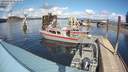 ./images/quadra/hbidock/20200324/hbidock20200324_142500M.jpg