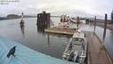 ./images/quadra/hbidock/20200326/hbidock20200326_161000M.jpg