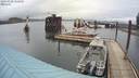 ./images/quadra/hbidock/20200328/hbidock20200328_122000M.jpg