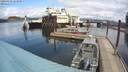 ./images/quadra/hbidock/20200329/hbidock20200329_123500M.jpg