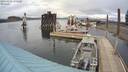 ./images/quadra/hbidock/20200329/hbidock20200329_155500M.jpg