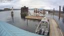 ./images/quadra/hbidock/20200329/hbidock20200329_172000M.jpg
