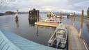 ./images/quadra/hbidock/20200329/hbidock20200329_180500M.jpg