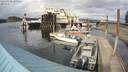 ./images/quadra/hbidock/20200330/hbidock20200330_165000M.jpg