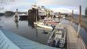 ./images/quadra/hbidock/20200331/hbidock20200331_170500M.jpg