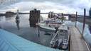 ./images/quadra/hbidock/20200331/hbidock20200331_192000M.jpg