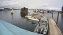 ./images/quadra/hbidock/20200402/hbidock20200402_135000M.jpg