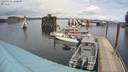 ./images/quadra/hbidock/20200402/hbidock20200402_140500M.jpg