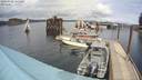 ./images/quadra/hbidock/20200402/hbidock20200402_141500M.jpg