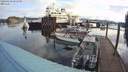./images/quadra/hbidock/20200403/hbidock20200403_085000M.jpg