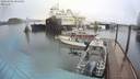 ./images/quadra/hbidock/20200404/hbidock20200404_085500M.jpg