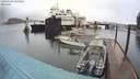 ./images/quadra/hbidock/20200404/hbidock20200404_110500M.jpg