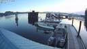 ./images/quadra/hbidock/20200405/hbidock20200405_071500M.jpg