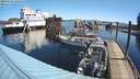 ./images/quadra/hbidock/20200405/hbidock20200405_103500M.jpg