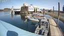 ./images/quadra/hbidock/20200408/hbidock20200408_124500M.jpg