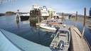 ./images/quadra/hbidock/20200408/hbidock20200408_145500M.jpg