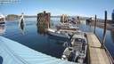 ./images/quadra/hbidock/20200409/hbidock20200409_112000M.jpg