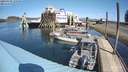 ./images/quadra/hbidock/20200409/hbidock20200409_130500M.jpg