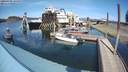 ./images/quadra/hbidock/20200409/hbidock20200409_144500M.jpg