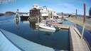 ./images/quadra/hbidock/20200409/hbidock20200409_150500M.jpg