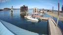 ./images/quadra/hbidock/20200409/hbidock20200409_151000M.jpg
