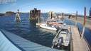 ./images/quadra/hbidock/20200409/hbidock20200409_154500M.jpg