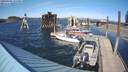 ./images/quadra/hbidock/20200409/hbidock20200409_155500M.jpg