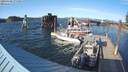 ./images/quadra/hbidock/20200410/hbidock20200410_175500M.jpg
