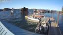 ./images/quadra/hbidock/20200410/hbidock20200410_182000M.jpg