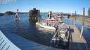 ./images/quadra/hbidock/20200411/hbidock20200411_174500M.jpg