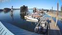 ./images/quadra/hbidock/20200412/hbidock20200412_175000M.jpg