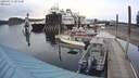 ./images/quadra/hbidock/20200413/hbidock20200413_183500M.jpg