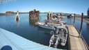 ./images/quadra/hbidock/20200418/hbidock20200418_115500M.jpg