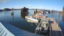 ./images/quadra/hbidock/20200418/hbidock20200418_180500M.jpg