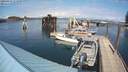 ./images/quadra/hbidock/20200419/hbidock20200419_151000M.jpg