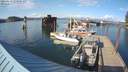 ./images/quadra/hbidock/20200419/hbidock20200419_173500M.jpg