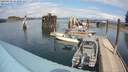./images/quadra/hbidock/20200420/hbidock20200420_141000M.jpg