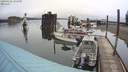 ./images/quadra/hbidock/20200422/hbidock20200422_131500M.jpg