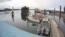 ./images/quadra/hbidock/20200422/hbidock20200422_135500M.jpg