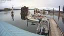 ./images/quadra/hbidock/20200422/hbidock20200422_140500M.jpg
