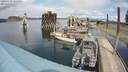 ./images/quadra/hbidock/20200423/hbidock20200423_134500M.jpg