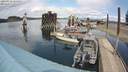 ./images/quadra/hbidock/20200423/hbidock20200423_135000M.jpg