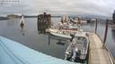 ./images/quadra/hbidock/20200424/hbidock20200424_094500M.jpg