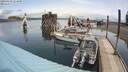 ./images/quadra/hbidock/20200424/hbidock20200424_114500M.jpg