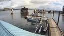 ./images/quadra/hbidock/20200425/hbidock20200425_101000M.jpg
