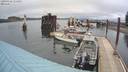 ./images/quadra/hbidock/20200426/hbidock20200426_111000M.jpg
