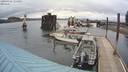 ./images/quadra/hbidock/20200426/hbidock20200426_115000M.jpg
