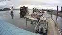 ./images/quadra/hbidock/20200426/hbidock20200426_120000M.jpg